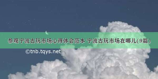 参观宁波古玩市场心得体会范本 宁波古玩市场在哪儿(9篇)