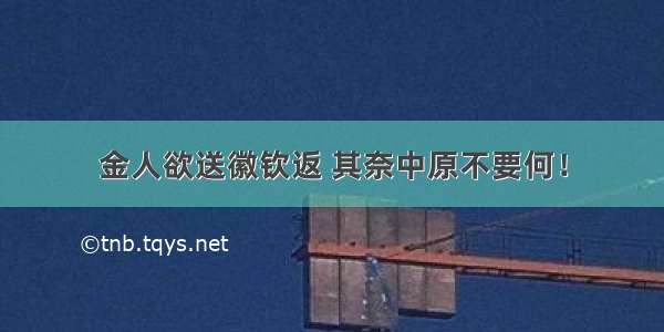 金人欲送徽钦返 其奈中原不要何！