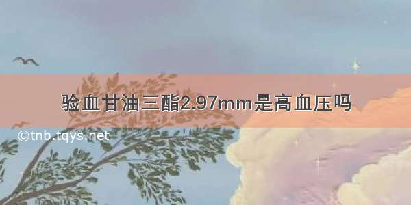 验血甘油三酯2.97mm是高血压吗