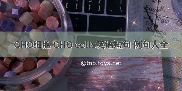 CHO细胞 CHO cells英语短句 例句大全