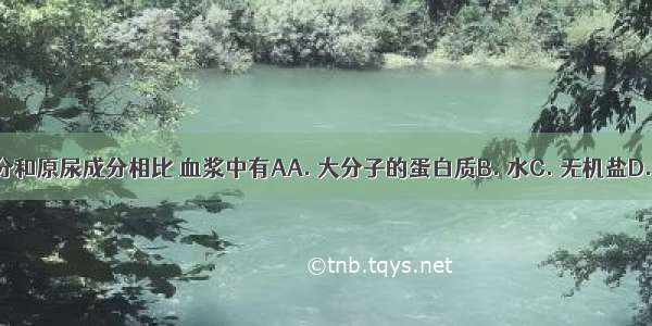 血浆成分和原尿成分相比 血浆中有AA. 大分子的蛋白质B. 水C. 无机盐D. 葡萄糖