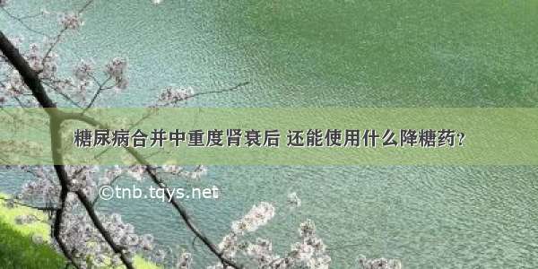 糖尿病合并中重度肾衰后 还能使用什么降糖药？