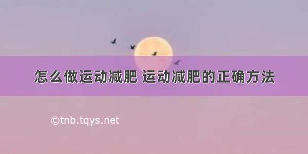 怎么做运动减肥 运动减肥的正确方法