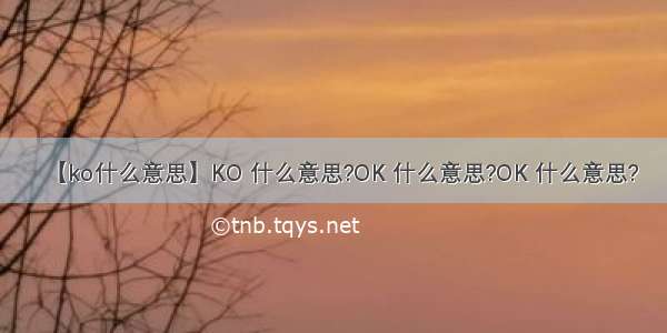 【ko什么意思】KO 什么意思?OK 什么意思?OK 什么意思?