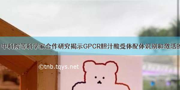 前沿科技 | 中科院等科学家合作研究揭示GPCR胆汁酸受体配体识别和激活的独特机制