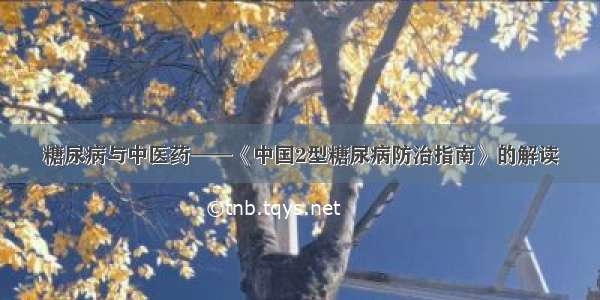 糖尿病与中医药——《中国2型糖尿病防治指南》的解读