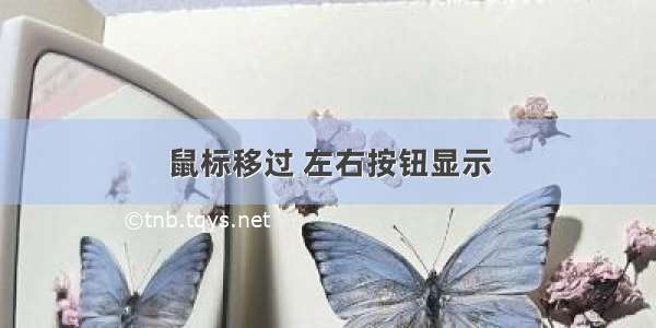 鼠标移过 左右按钮显示