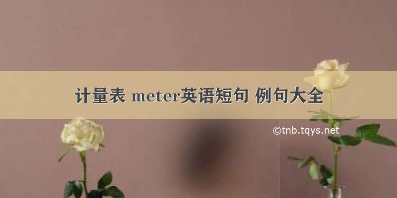 计量表 meter英语短句 例句大全