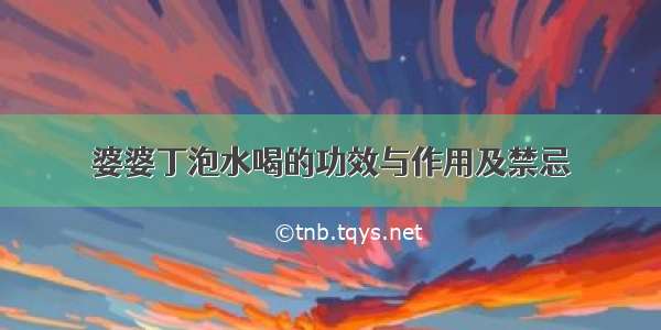 婆婆丁泡水喝的功效与作用及禁忌