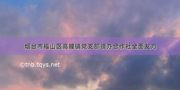 烟台市福山区高疃镇党支部领办合作社全面发力