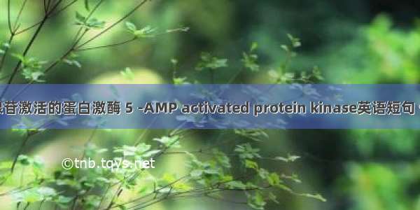 5-磷酸腺苷激活的蛋白激酶 5 -AMP activated protein kinase英语短句 例句大全