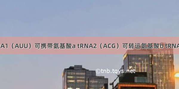 若细胞质中tRNA1（AUU）可携带氨基酸a tRNA2（ACG）可转运氨基酸b tRNA3（UAC）可携