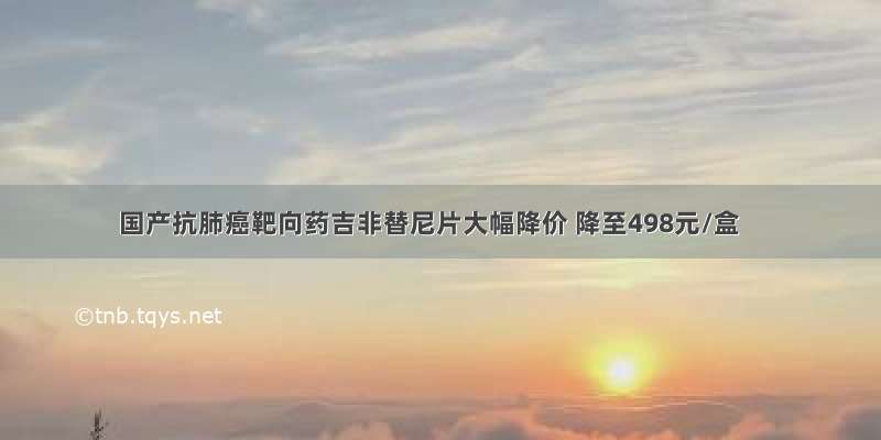 国产抗肺癌靶向药吉非替尼片大幅降价 降至498元/盒