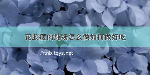 花胶瘦肉炖汤怎么做如何做好吃