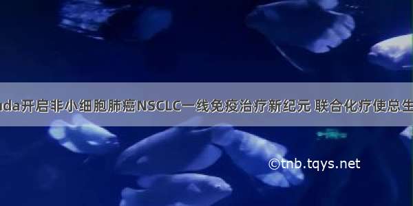 默沙东Keytruda开启非小细胞肺癌NSCLC一线免疫治疗新纪元 联合化疗使总生存期显著延长