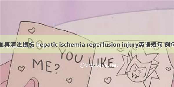 肝缺血再灌注损伤 hepatic ischemia reperfusion injury英语短句 例句大全