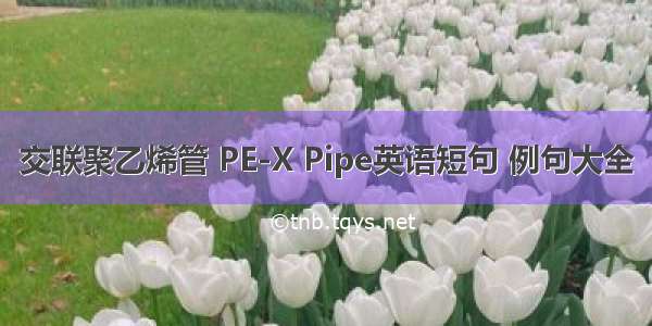 交联聚乙烯管 PE-X Pipe英语短句 例句大全