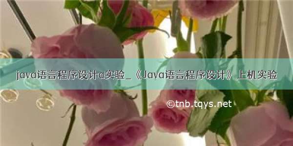 java语言程序设计a实验_《Java语言程序设计》上机实验