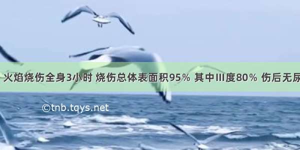 男 10岁 火焰烧伤全身3小时 烧伤总体表面积95％ 其中Ⅲ度80％ 伤后无尿 未行其