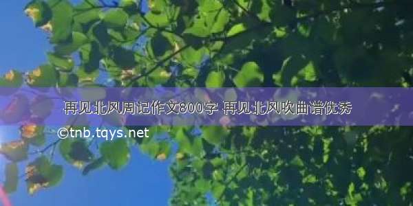 再见北风周记作文800字 再见北风吹曲谱优秀