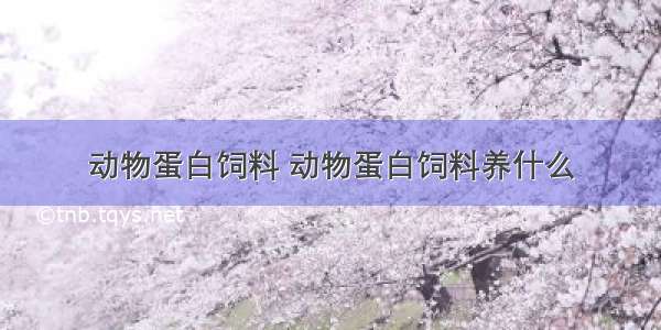 动物蛋白饲料 动物蛋白饲料养什么