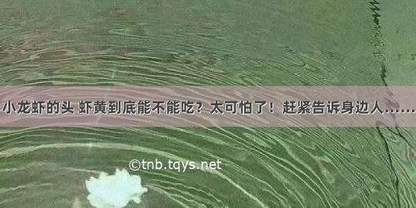 小龙虾的头 虾黄到底能不能吃？太可怕了！赶紧告诉身边人……