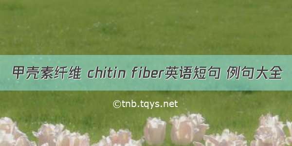 甲壳素纤维 chitin fiber英语短句 例句大全