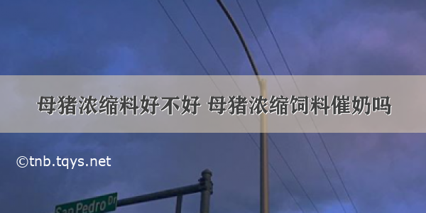 母猪浓缩料好不好 母猪浓缩饲料催奶吗