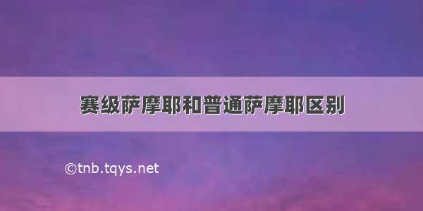 赛级萨摩耶和普通萨摩耶区别