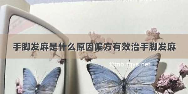 手脚发麻是什么原因偏方有效治手脚发麻