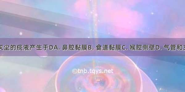 含细菌和灰尘的痰液产生于DA. 鼻腔黏膜B. 食道黏膜C. 喉腔侧壁D. 气管和支气管黏膜