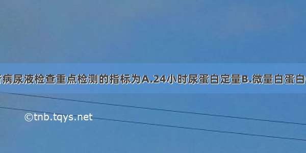 早期糖尿病肾病尿液检查重点检测的指标为A.24小时尿蛋白定量B.微量白蛋白C.红细胞D.尿