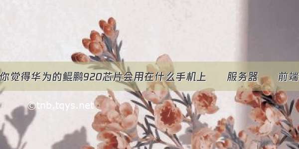 你觉得华为的鲲鹏920芯片会用在什么手机上 – 服务器 – 前端