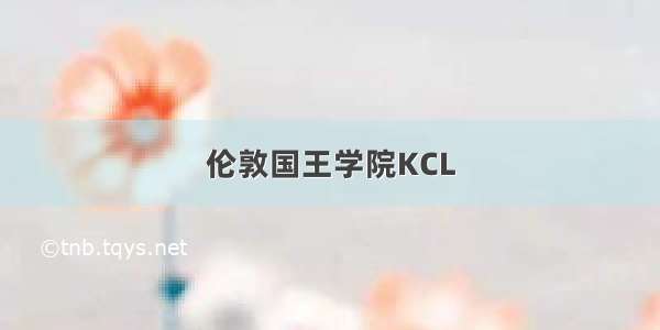 伦敦国王学院KCL