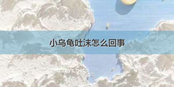 小乌龟吐沫怎么回事