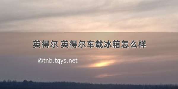 英得尔 英得尔车载冰箱怎么样