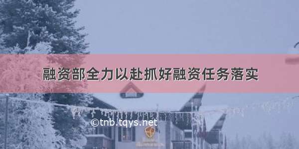 融资部全力以赴抓好融资任务落实