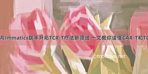 细胞 | 新基与Immatics联手开拓TCR-T疗法新领域 一文教你读懂CAR-T和TCR-T疗法...