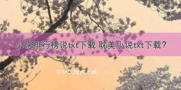 小说排行榜说txt下载 耽美小说txt下载？