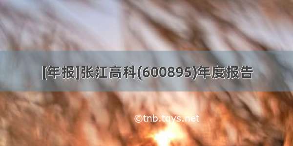 [年报]张江高科(600895)年度报告