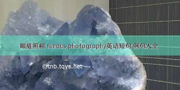 眼底照相 fundus photography英语短句 例句大全