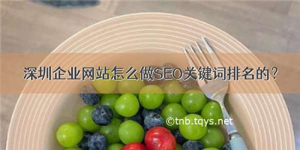 深圳企业网站怎么做SEO关键词排名的？