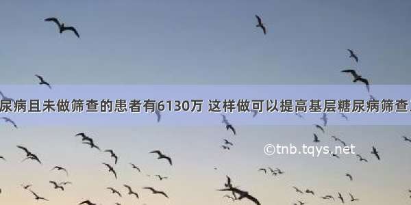 我国患糖尿病且未做筛查的患者有6130万 这样做可以提高基层糖尿病筛查工作效率！