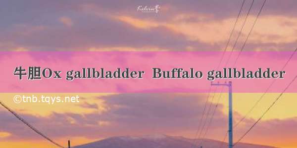 牛胆Ox gallbladder  Buffalo gallbladder