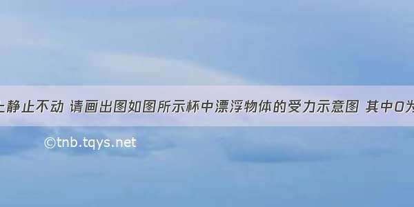 杯子在斜面上静止不动 请画出图如图所示杯中漂浮物体的受力示意图 其中O为物体的重心．