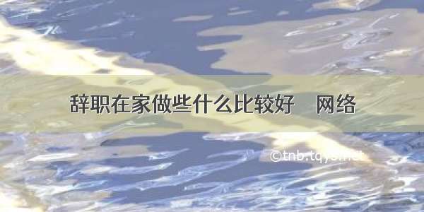 辞职在家做些什么比较好 – 网络