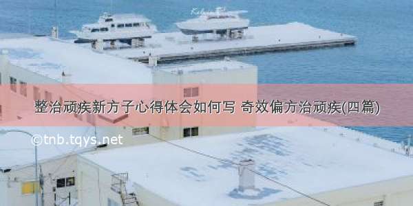 整治顽疾新方子心得体会如何写 奇效偏方治顽疾(四篇)