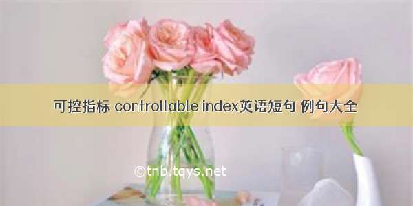 可控指标 controllable index英语短句 例句大全