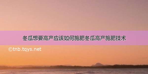 冬瓜想要高产应该如何施肥冬瓜高产施肥技术