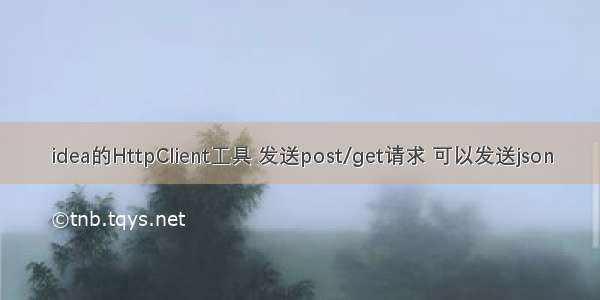 idea的HttpClient工具 发送post/get请求 可以发送json